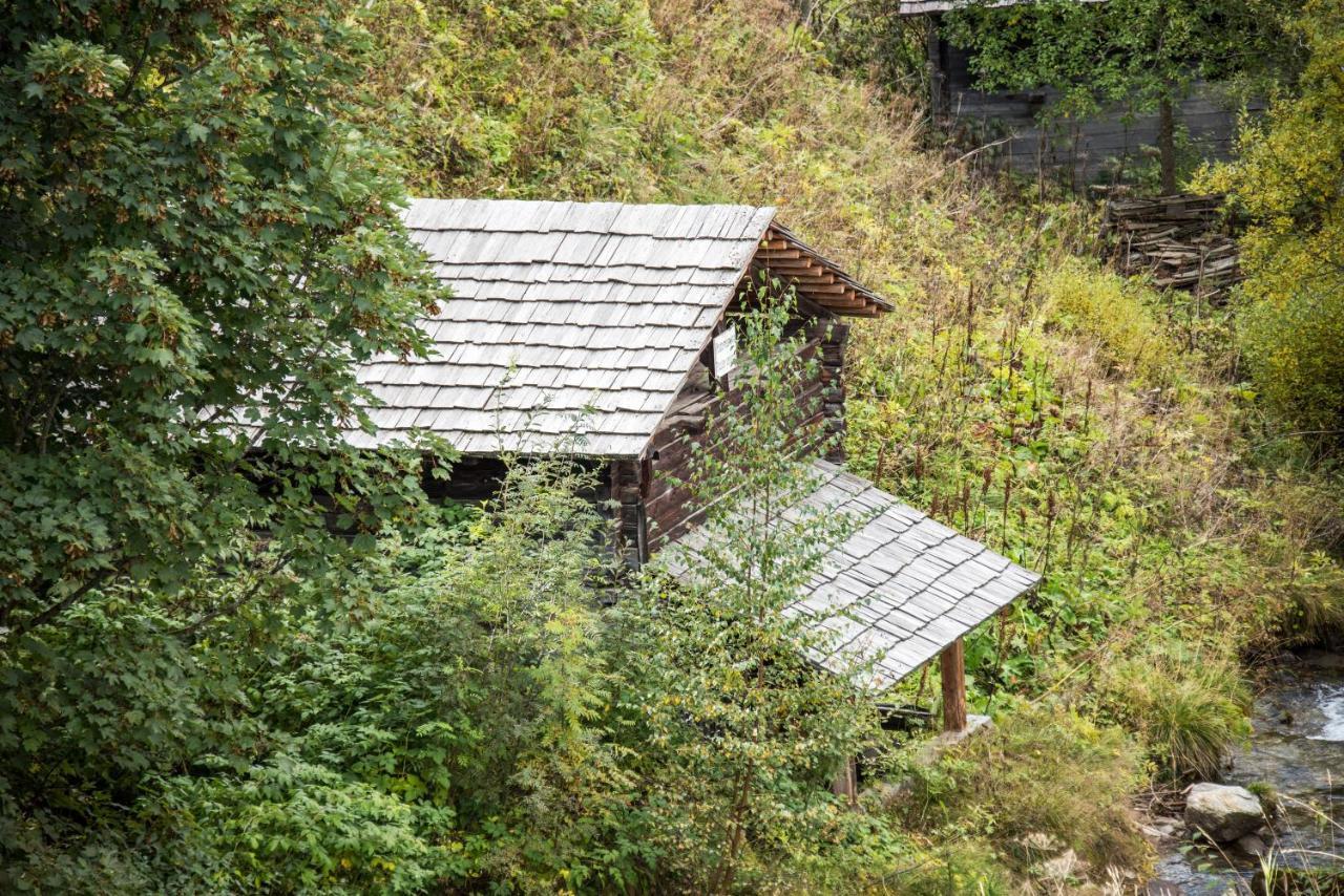 坎波图雷斯Alpenblick Nr 5公寓 外观 照片