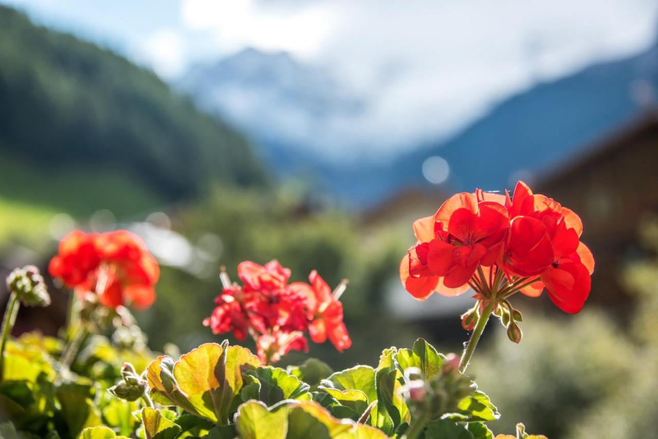 坎波图雷斯Alpenblick Nr 5公寓 外观 照片
